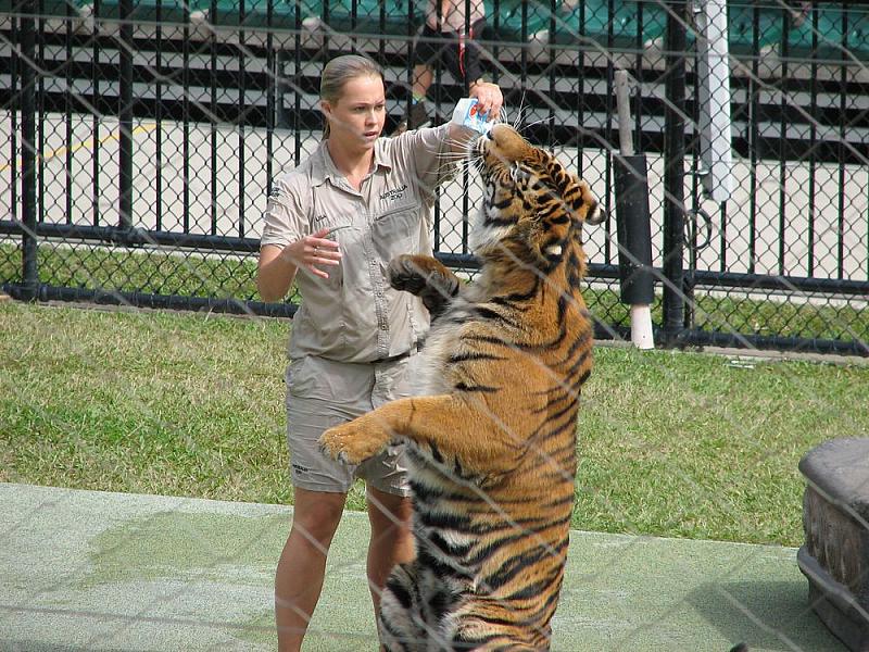 IMG_2769.JPG