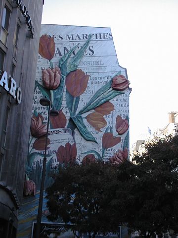 Tulips