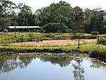 IMG_2594.JPG