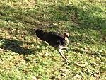 IMG_2635.JPG