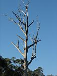 IMG_2658.JPG
