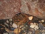 IMG_2673.JPG