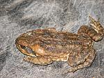 IMG_2678.JPG