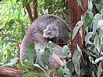 IMG_2693.JPG