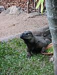 IMG_2704.JPG
