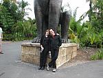 IMG_2707.JPG