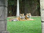 IMG_2719.JPG