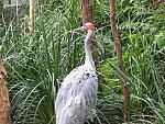 IMG_2731.JPG