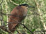 IMG_2738.JPG