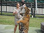 IMG_2769.JPG