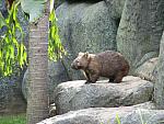 IMG_2854.JPG