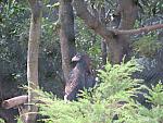 IMG_2859.JPG