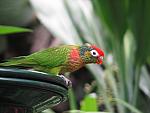 IMG_2863.JPG