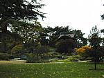 The Japanese Garden