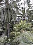Inside Temperate House