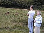 Red deer with Nan & PM